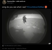 Meme Perseverance