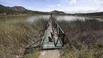 Nestapa Keringnya Laguna di Kolombia