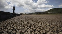 Laguna Suesca dengan luas 2.900 hektar hanya bergantung pada curah hujan. Laguna ini tidak memiliki anak sungai yang mengalir secara permanen.  