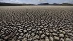 Nestapa Keringnya Laguna di Kolombia