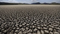 Permukaan Laguna Suesca yang dulunya merupakan objek wisata ini telah menurun secara drastis dalam beberapa tahun terakhir dan berisiko menghilang.  