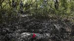 Penemuan Makam Rahasia Korban Geng Narkoba di Meksiko