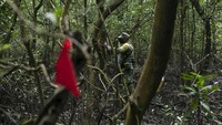 Lebih dari 80.000 orang terdaftar sebagai hilang sejak perang narkoba Meksiko dimulai pada 2006.  