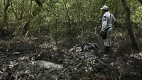 Seorang tentara Angkatan Darat Meksiko berdiri di samping sebuah bendera yang menandai situs kuburan rahasia di Puquita, sebuah pulau bakau tropis dekat Alvarado di negara bagian pantai Teluk Veracruz, Meksiko.  