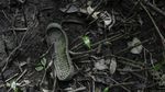 Penemuan Makam Rahasia Korban Geng Narkoba di Meksiko