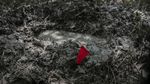 Penemuan Makam Rahasia Korban Geng Narkoba di Meksiko