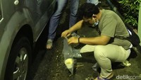 Belum ada kesimpulan siapa yang bertanggung jawab atas kejadian keracunan massal tersebut. Polisi sendiri masih melakukan penyelidikan. 