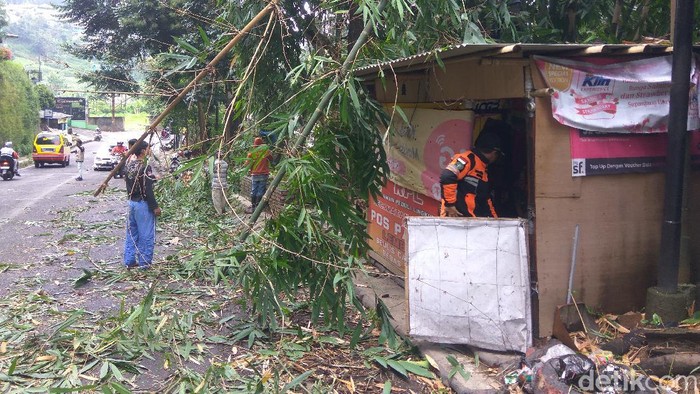 Pohon tumbang di Jalan Raya Lembang timpa pemotor dan posko relawan