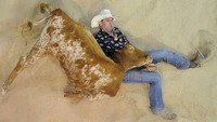 Terry Evison dari Nilma berkompetisi di Steer Wrestling di Gold Coast, Australia. Dalam hal ini, para juri memantau teknik penampilan balapan dan memberikan sejumlah poin. Getty Images/Matt Roberts  