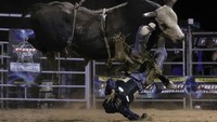Jay Borghero dari Rockhampton dilempar oleh Hotter Than Hell 2 saat ia berkompetisi di Julia Creek, Australia. Olahraga ini disebut sebagai hal kedua dari delapan hal paling berbahaya dalam bidang olahraga. Getty Images/Mark Kolbe  