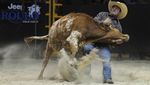 Potret Aksi Uji Nyali Koboi Rodeo