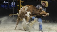 Seorang koboi berusaha menahan banteng liarnya saat berkompetisi di Steer Wrestling, di Gold Coast, Australia. Rodeo adalah olahraga tradisional di Amerika Utara, yang secara historis didominasi oleh koboi Meksiko dan Amerika. Getty Images/Matt Roberts  