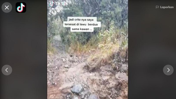 Viral pendaki Lawu tersesat kemudian dituntun burung Jalak, Jumat (19/2/2021).