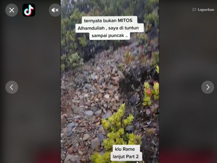 Viral pendaki Lawu tersesat kemudian dituntun burung Jalak, Jumat (19/2/2021).