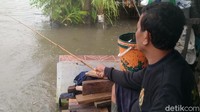 Sobali mengaku sudah memancing di genangan banjir selama empat hari belakangan ini. Dia bersama keluarganya memang tak ikut mengungsi karena mempertimbangkan kondisi yang masih pandemi virus Corona.