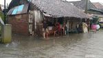 Warga Pekalongan Ramai-ramai Mancing di Tengah Banjir