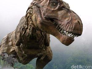 Asal-usul Bahan Bakar Fosil: Apa Betul dari Tulang Dinosaurus?