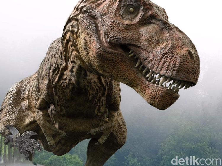 Foto: Memberi Makan Dinosaurus di Lembang