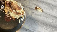 Membuat pancake untuk sarapan anak pada pagi hari pasti menyenangkan. Tetapi tidak dengan ibu asal Inggris yang satu ini. Bermaksud membalik pancake langsung dengan teflonnya, pancake ini malah langsung jatuh ke lantai. Foto: Daily Mail UK