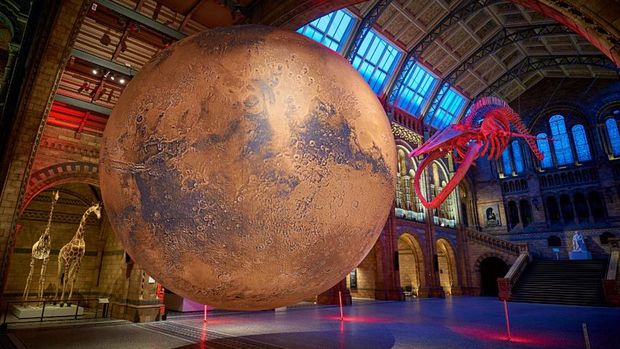 Natural History Museum di Inggris.