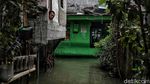 Banjir Rendam Permukiman di Kapuk Muara