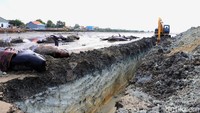 Sebelumnya, puluhan paus terdampar di pantai Desa Patereman, Modung, Bangkalan. Ada total 49 paus pilot yang terdampar, 46 di antaranya mati dan 3 masih hidup.