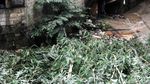 Tanah Longsor di Jalan Bhakti Cilandak Timur