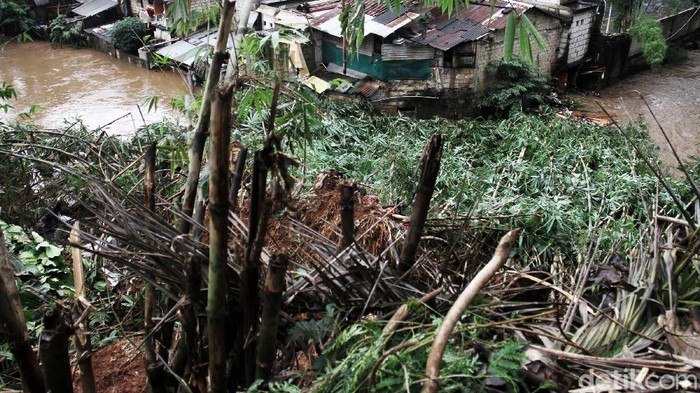 Tanah longsot terjadi di Jalan Bhakti, Kelurahan Cilandak Timur, Kecamatan Pasar Minggu, Jakarta Selatan, Sabtu (20/2). Longsor membuat satu pohon bambu tumbang akibat tidak kuat menahan air yang berdampak kepada pemukiman di sekitar.