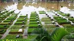 TPU Jeruk Purut Terendam Banjir