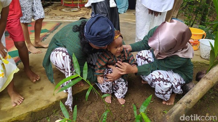 Saat ini tradisi Tedak Siten atau turun tanah tak banyak yang melakoni. Namun tradisi seperti ini ternyata masih ada dan dilestarikan di Kabupaten Magelang.