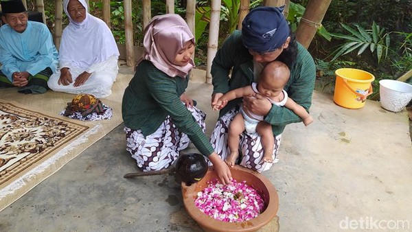 Urutan pelaksanaan tedak siten dimulai dengan sungkeman. Maheswara digendong orangtuanya meminta doa restu kepada neneknya. Setelah itu, anak tersebut dibersihkan kedua kaki, tangan maupun mukanya dengan air yang telah diberi bunga. (Eko Susanto/detikTravel) Urutan pelaksanaan tedak siten dimulai dengan sungkeman. Maheswara digendong orangtuanya meminta doa restu kepada neneknya. Setelah itu, anak tersebut dibersihkan kedua kaki, tangan maupun mukanya dengan air yang telah diberi bunga. (Eko Susanto/detikTravel)