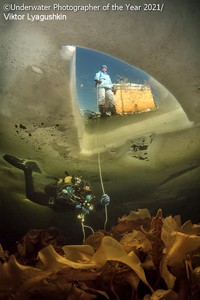 Underwater Photographer Of The Year 2021