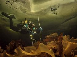 Keindahan Bawah Laut yang Memukau Mata