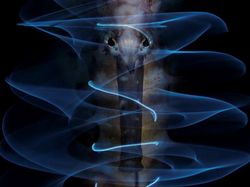 Keindahan Bawah Laut yang Memukau Mata