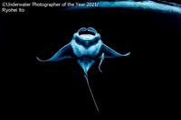 Underwater Photographer Of The Year 2021