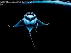 Keindahan Bawah Laut yang Memukau Mata