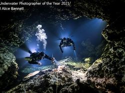 Keindahan Bawah Laut yang Memukau Mata
