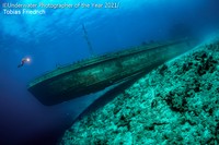 Underwater Photographer Of The Year 2021