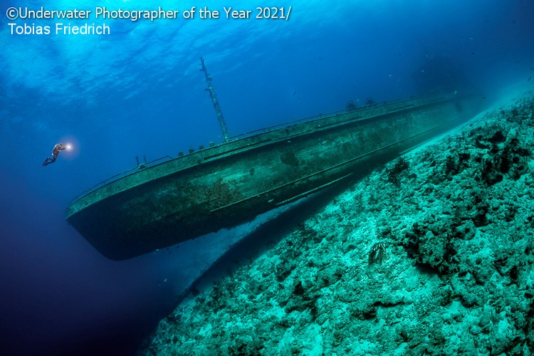 Underwater Photographer Of The Year 2021