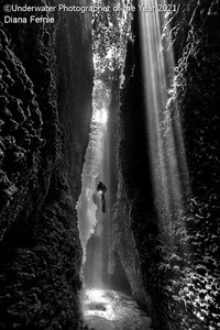 Underwater Photographer Of The Year 2021