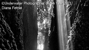 Jawara kategori Black and White diraih Diana Fernie (Australia) Foto: doc Underwater Photographer Of The Year