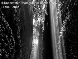 Keindahan Bawah Laut yang Memukau Mata