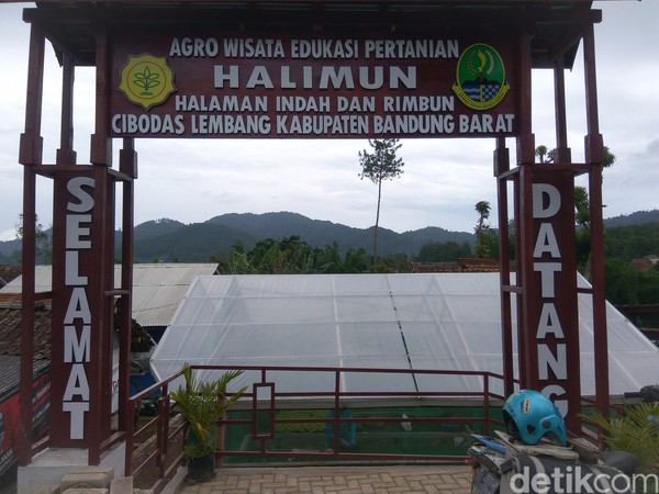 Rupa Agrowisata Bandung yang Dikelola Para Single Parent