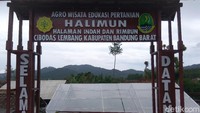 Pertanian yang digeluti perempuan tamatan SMA itu sebetulnya merupakan realisasi dari konsep agrowisata tanaman sayuran. Berlokasi di Desa Cibodas, Lembang, ia menyasar wisatawan yang berlibur ke Lembang.