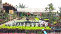 Agrowisata Halimun atau Halaman Indah dan Rimbun yang digelutinya sejak dibentuk pada 18 Februari 2013, sudah mampu menghidupi puluhan ibu rumah tangga. Kebanyakan melakoni peran ganda, yakni sebagai kepala keluarga.