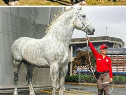 Potret Fenomena Langka yang Jarang Terjadi