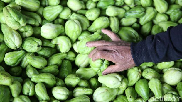 Labu siam atau labu acar kini banyak ditanam oleh petani di Desa Cukanggenteng, Kecamatan Pasir Jambu, kabupaten Bandung, Jawa Barat. Hal itu karena harga labu siam sedang tinggi.