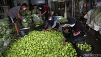 Anggota Gapoktan Regge Generation melakukan proses pengemasan labu acar di Desa Cukanggenteng, Kecamatan Pasir Jambu, kabupaten Bandung, Jawa Barat. 