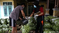 Menurut Sekretaris Dinas Pertanian Kabupaten Bandung, Diar Hadi Gusdinar, warga menanam labu siam disebabkan karena harga labu siam atau yang biasa dikenal labu acar sedang tinggi. Selain itu, diversifikasi komoditas yang ditanam oleh petani menjadi ancang-ancang untuk mengantisipasi saat harga satu komoditas turun.