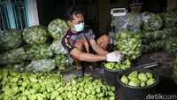 Data BPS dan Dinas Pertanian Kabupaten Bandung menyebut pada tahun 2018, Kabupaten Bandung bisa memproduksi 609.753 ton labu dari lahan panen seluas 439 hektare. Lalu pada tahun 2019, Kabupaten Bandung bisa memproduksi 551.744 ton labu dari lahan panen seluas 408 hektare.